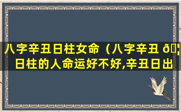 八字辛丑日柱女命（八字辛丑 🦢 日柱的人命运好不好,辛丑日出生是什么 🦊 命）